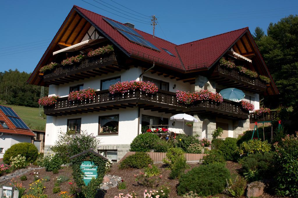 Gaestehaus Cornelia Wildensee Exterior photo